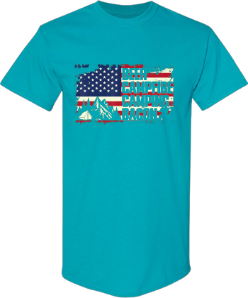 Patriotic Camping Beer Bacon American Flag  Shirt