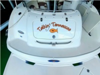 Chaparral 254 Sunesta  Boat Lettering from Lewis R, TN