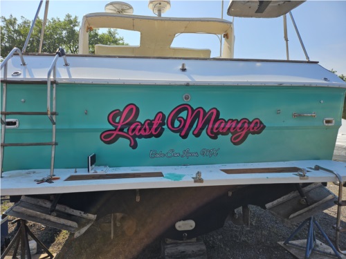 Boat Sea Ray 360 Express Lettering from David P, IL