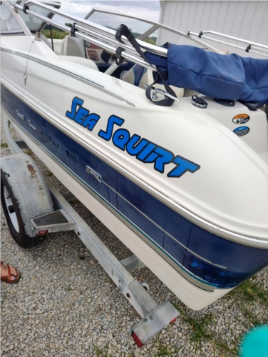 Bayliner Capri Boat Lettering from Amber C, OH