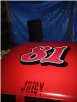 86 monte carlo SS 81JR 79 chevy malibu racecar 81 Lettering from bobby r, AL