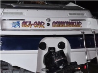 1997 Chaparral 2335 SS Limited Edition  Boat Lettering from John B, FL