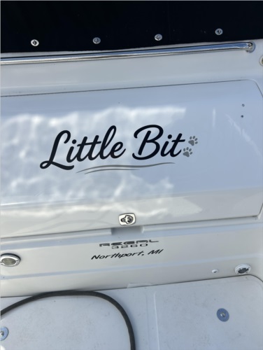 2004 Regal 3260 Boat transom Lettering from Tim W, MI