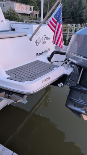 2018 Cutwater 24 Coupe  from Kent R, VA